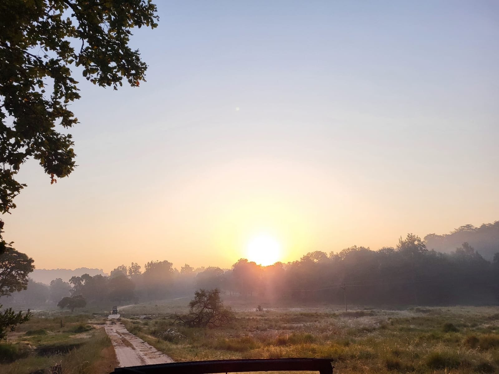 Trip to Kanha National Park