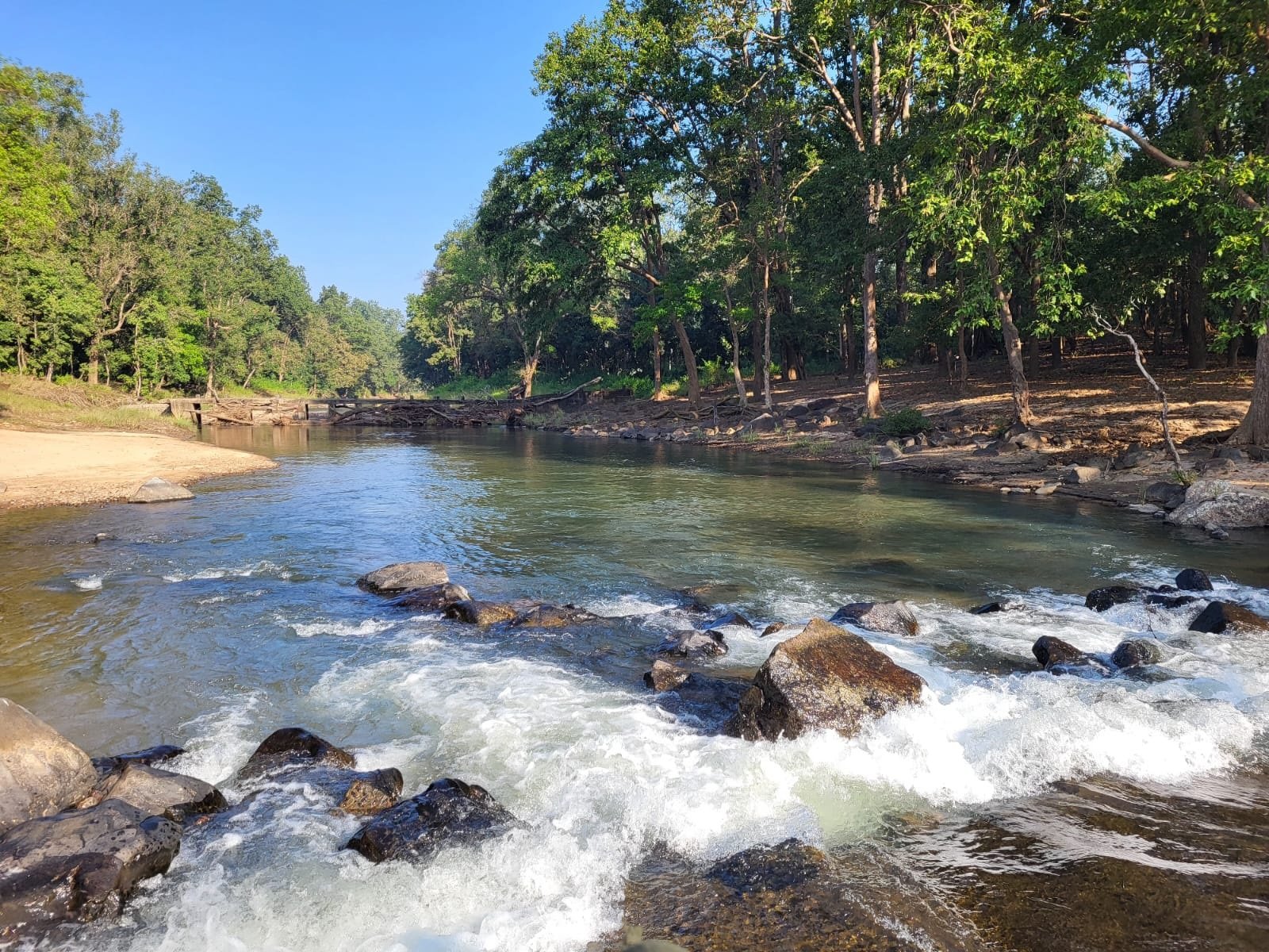 Trip to Kanha National Park
